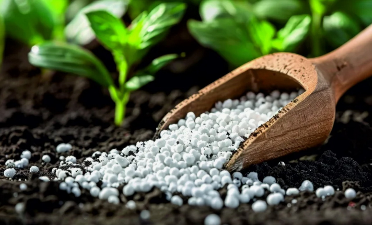 fertilizers